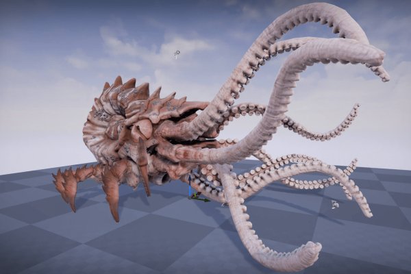 Kraken onion link